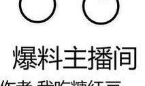 娱乐爆料主播间 小说,揭秘主播间背后的小说世界